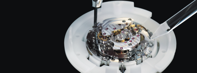 Slider - 3840x1120 px (84) Slider - 3840x1120 px (84)